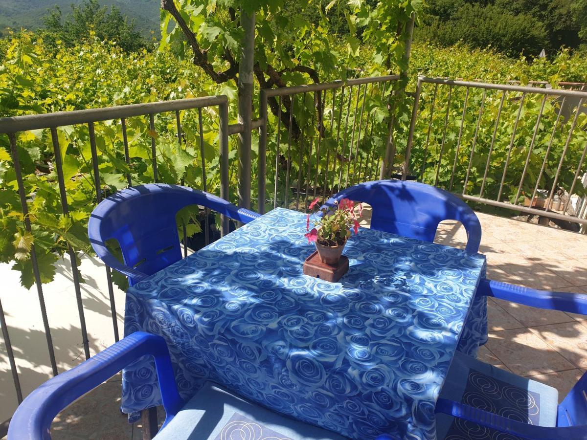 Mijailovic Apartmani Kaluđerac Екстериор снимка