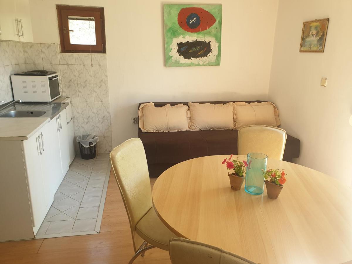 Mijailovic Apartmani Kaluđerac Екстериор снимка